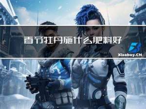 春节牡丹施什么肥料好呢