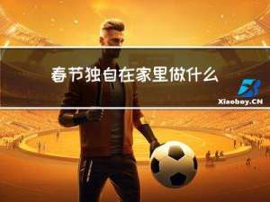 春节独自在家里做什么