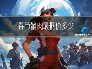 春节猪肉最低价多少