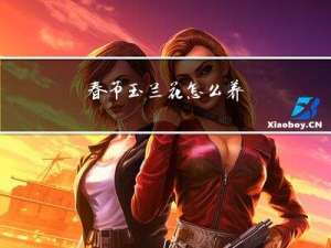 春节玉兰花怎么养