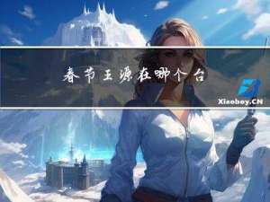 春节王源在哪个台