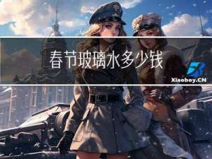 春节玻璃水多少钱