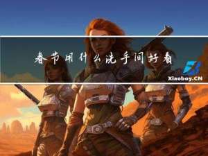 春节用什么洗手间好看