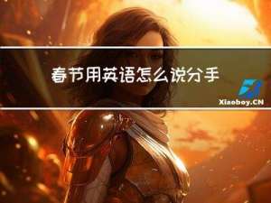 春节用英语怎么说分手
