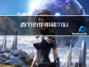 春节的作用和习俗