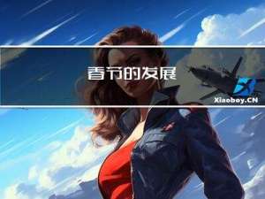 春节的发展