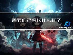 春节的老虎长什么样子