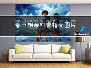 春节相亲对象指南图片