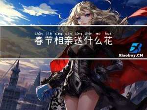 春节相亲送什么花