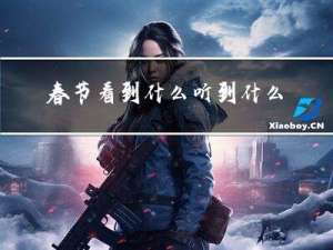 春节看到什么听到什么