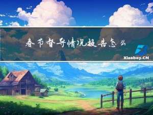 春节督导情况报告怎么写