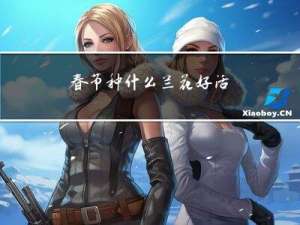 春节种什么兰花好活