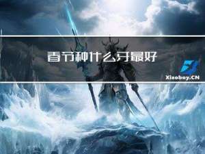 春节种什么牙最好
