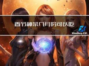 春节种菜几月份可以吃