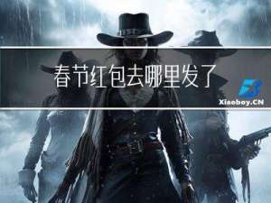 春节红包去哪里发了
