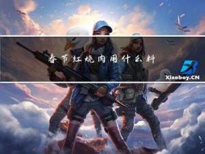 春节红烧肉用什么料