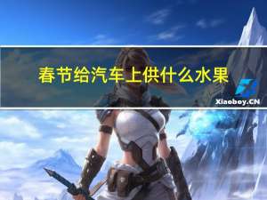 春节给汽车上供什么水果