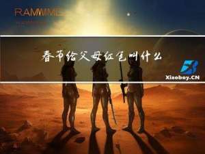春节给父母红包叫什么
