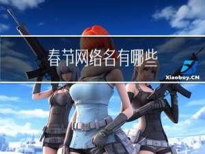 春节网络名有哪些