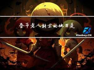 春节老人能去的地方是哪里