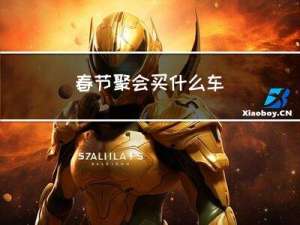 春节聚会买什么车