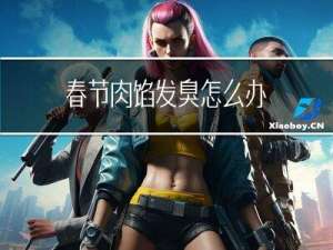 春节肉馅发臭怎么办