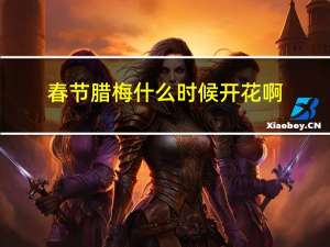 春节腊梅什么时候开花啊