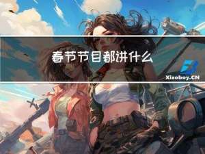 春节节目都讲什么