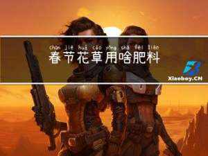 春节花草用啥肥料