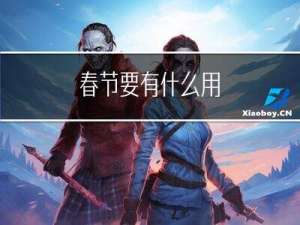 春节要有什么用