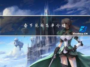 春节见闻简单介绍
