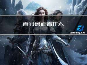 春节象征着什么