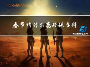 春节购什么花环保吉祥
