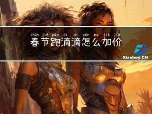 春节跑滴滴怎么加价