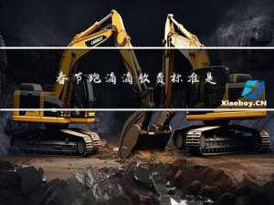 春节跑滴滴收费标准是