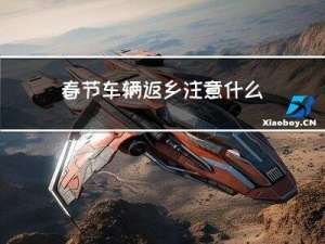 春节车辆返乡注意什么问题
