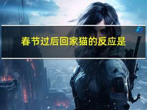 春节过后回家猫的反应是