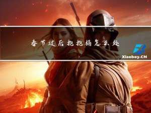 春节过后抱抱桶怎么处理