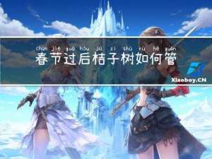 春节过后桔子树如何管理