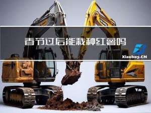 春节过后能栽种红薯吗农村