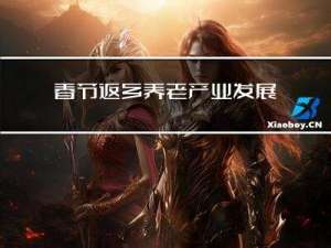 春节返乡养老产业发展