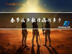 春节返乡新增病例多少