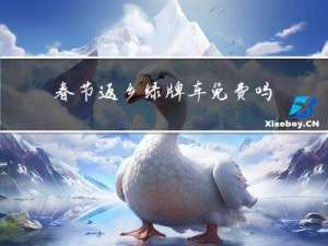 春节返乡绿牌车免费吗