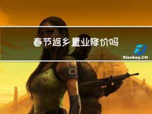 春节返乡置业降价吗