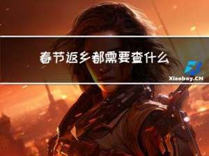 春节返乡都需要查什么报告