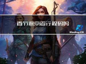 春节返京查行程码吗