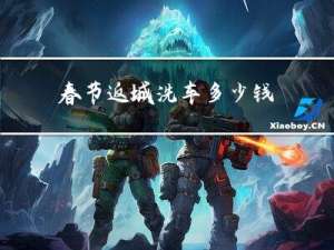 春节返城洗车多少钱