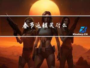 春节返程买什么