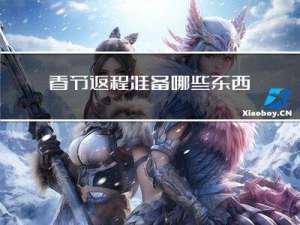 春节返程准备哪些东西