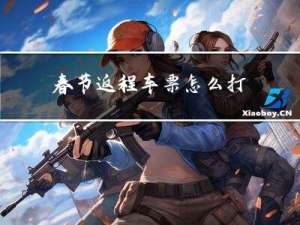 春节返程车票怎么打